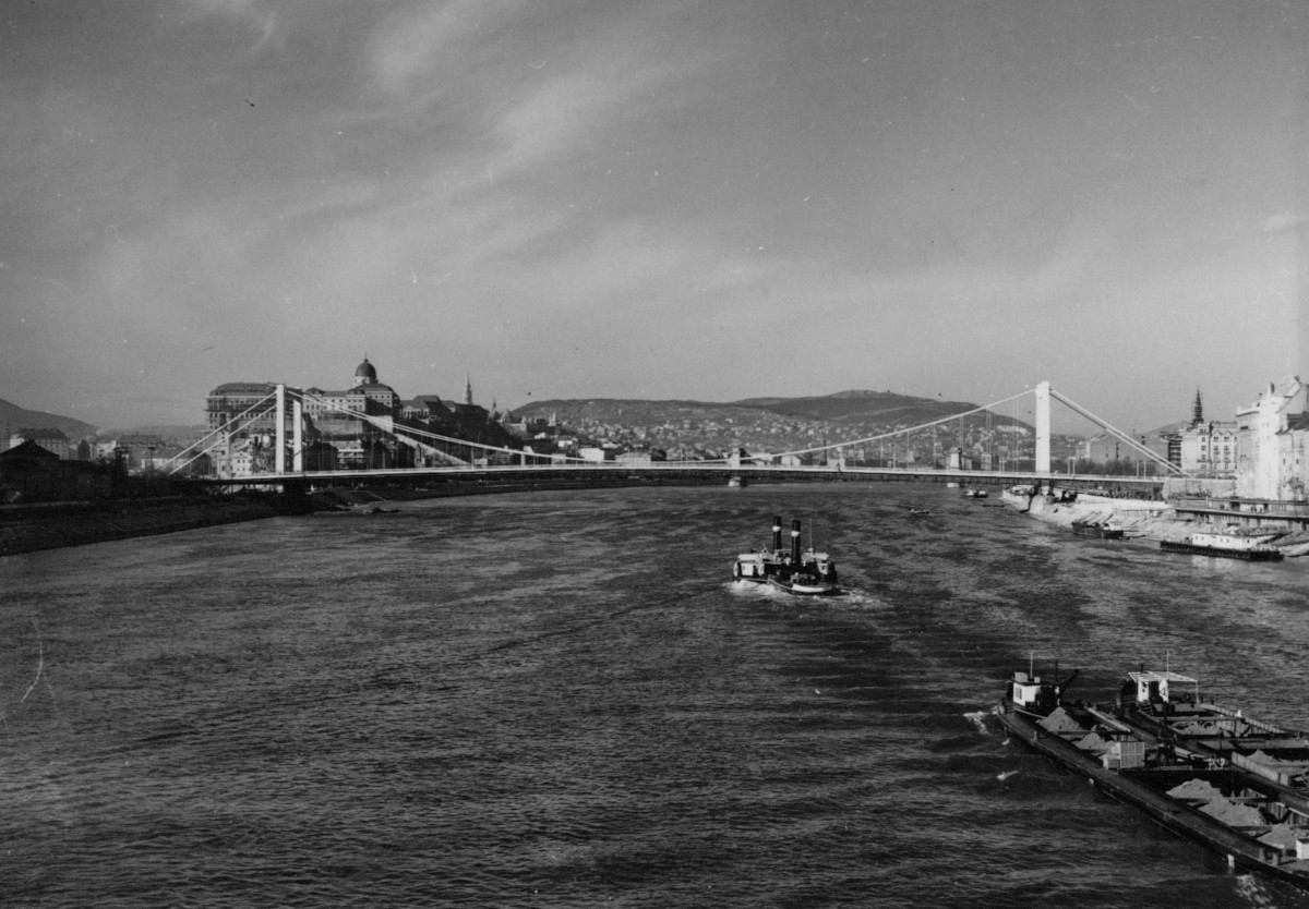 Budapesti látkép az Erzsébet híddal, 1964 (LTK/UVA/54335-54354/54353) – Lechner Tudásközpont, Dokumentációs Központ / Fotótár, UVATERV
