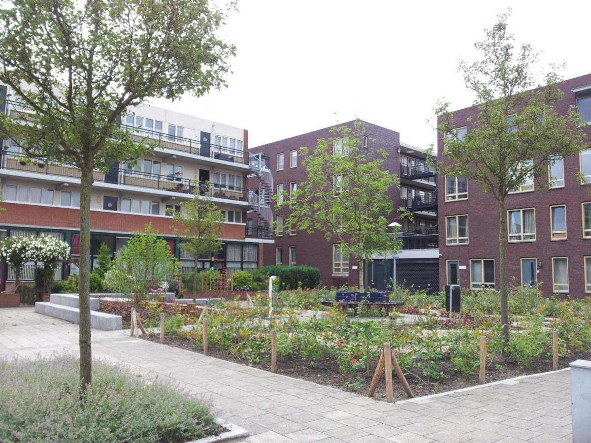 A Roerplein Pocket Park Utrechtben (Kép forrása: naturvation.eu)