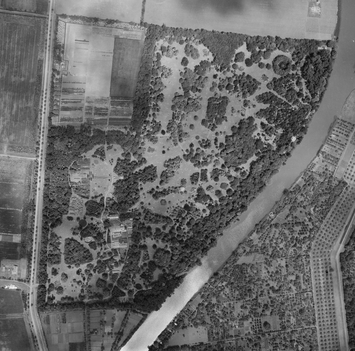 08g-szarvas-arboretum-1959