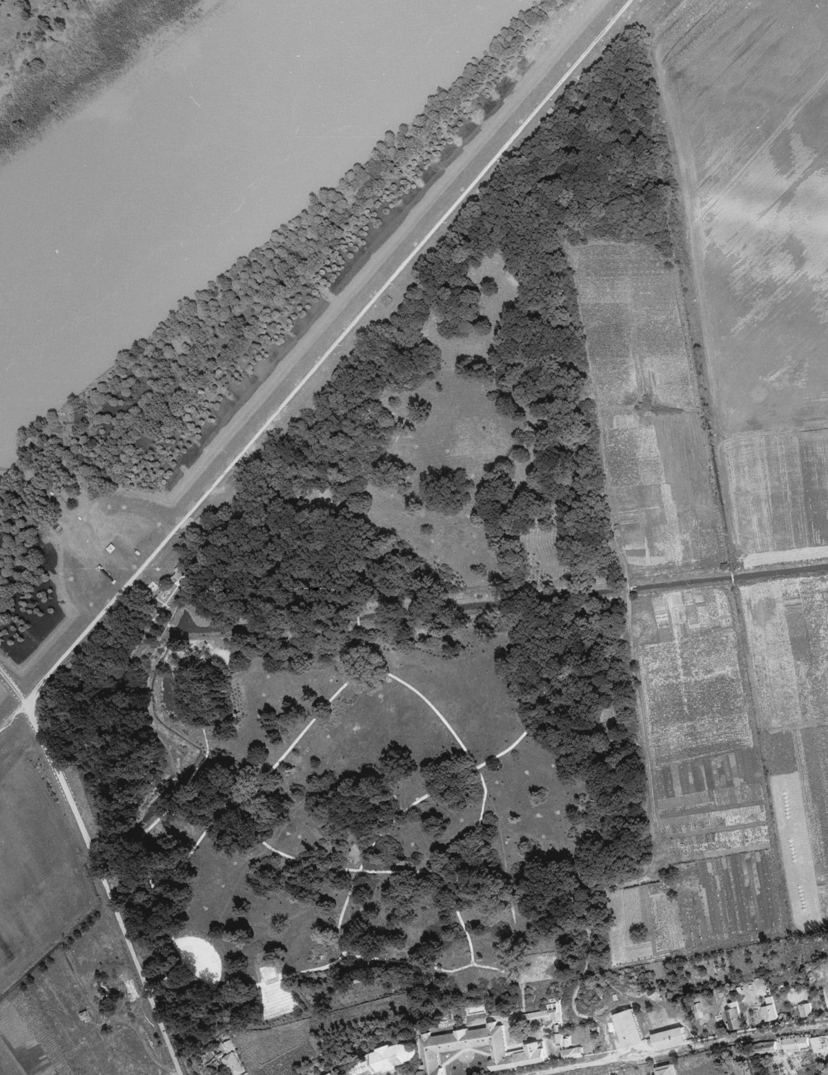 09-tiszakurt-arboretum-1965
