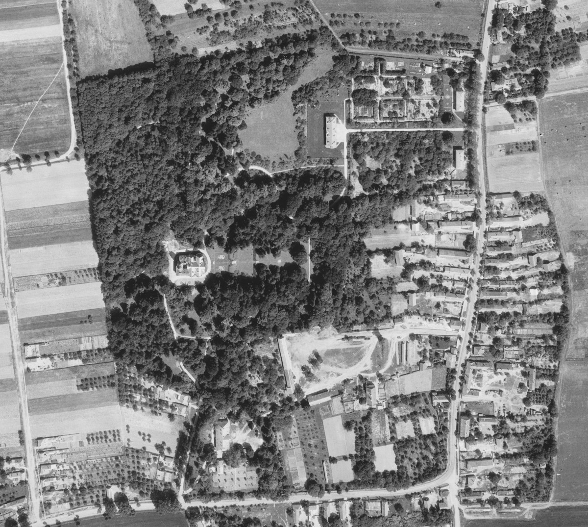 12g-szeleste-arboretum-1965
