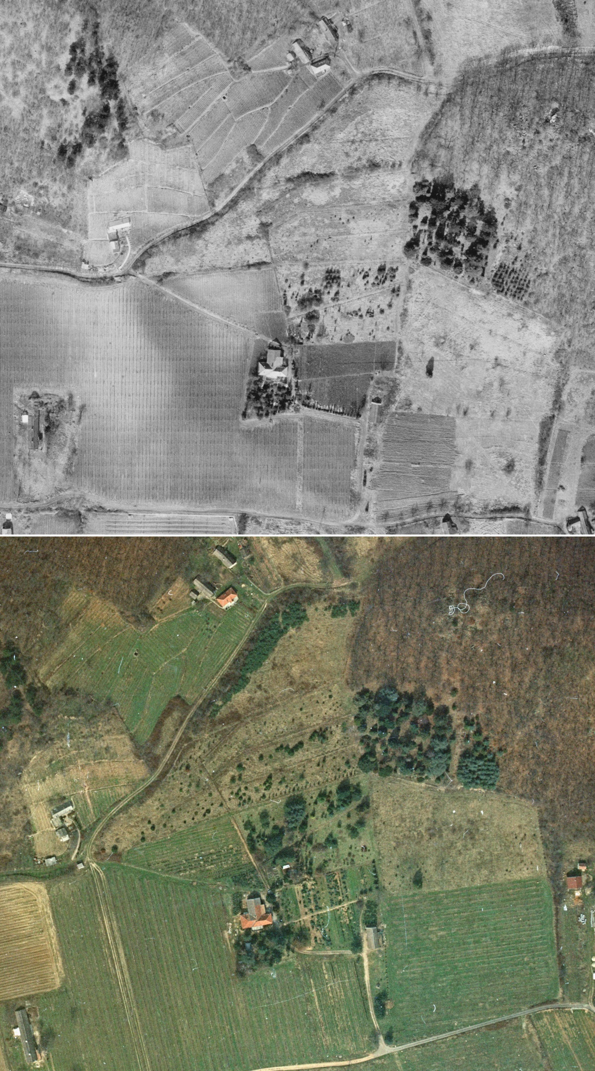 14-badacsonytomaj-arboretum-1975-1985