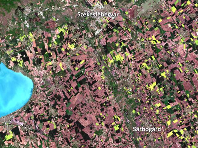 Zsendülő határ, virágzó repce - űrfelvételeken a magyar tavasz