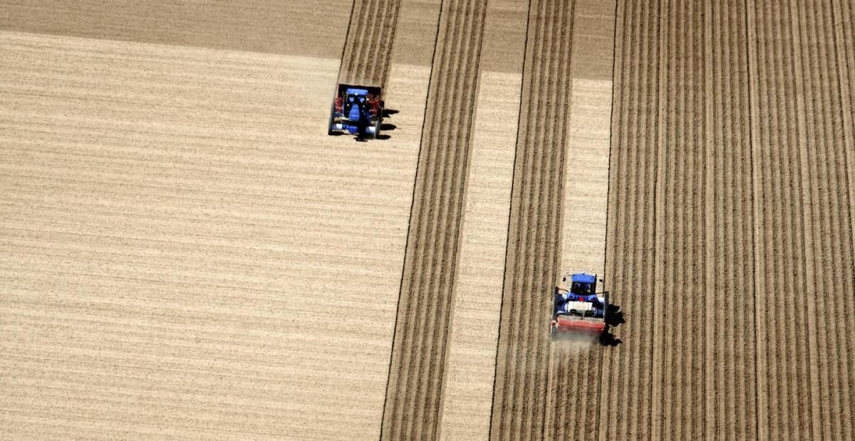 traktor dolgozik egy mezőn