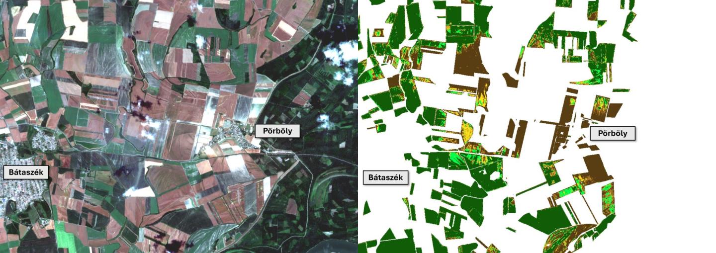 Pörböly térsége a 2026.06.22-i Sentienel-2 űrfelvételen és az űrfelvétel alapján előállított növényállapot térképen
