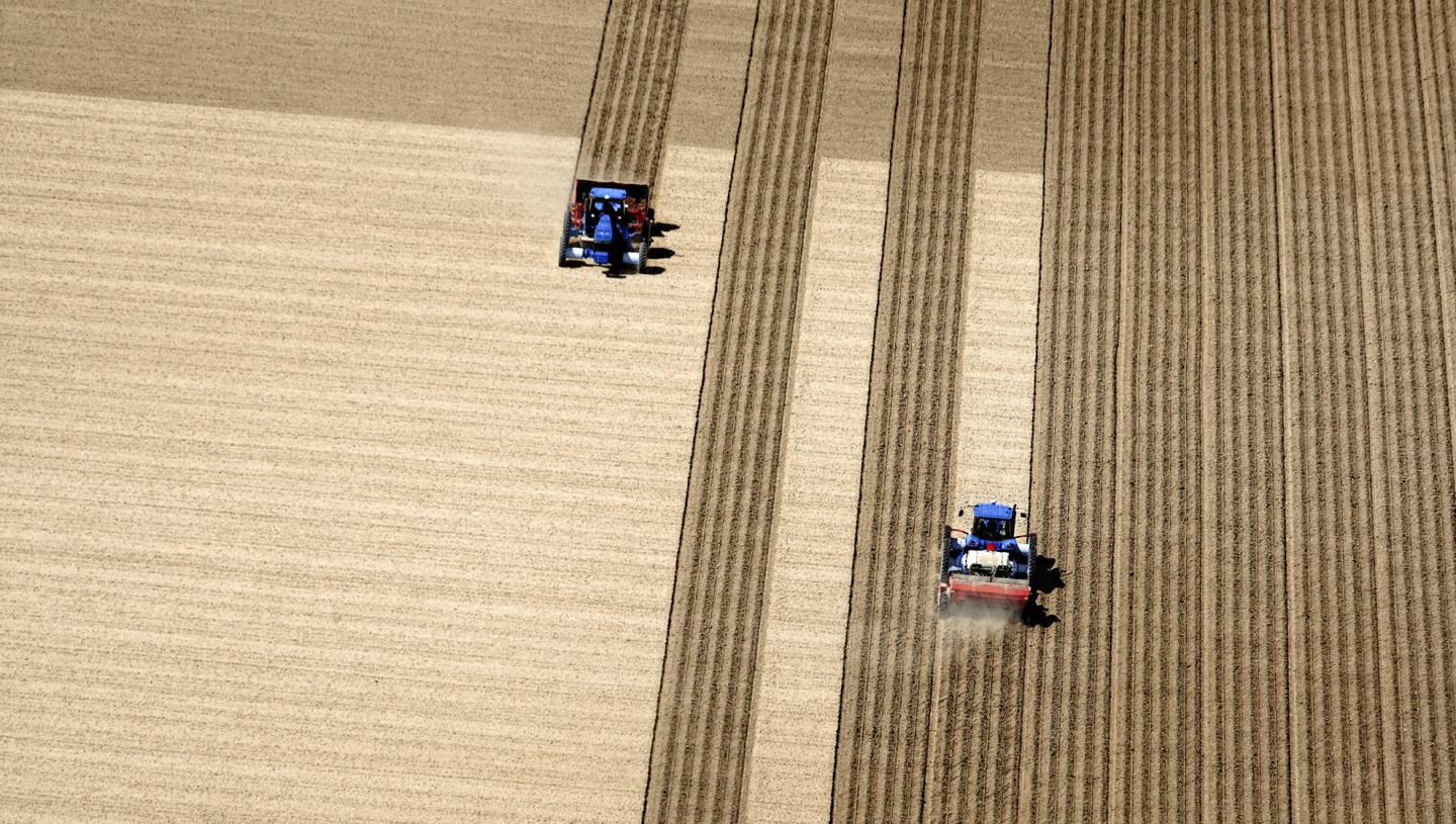 traktor dolgozik egy mezőn