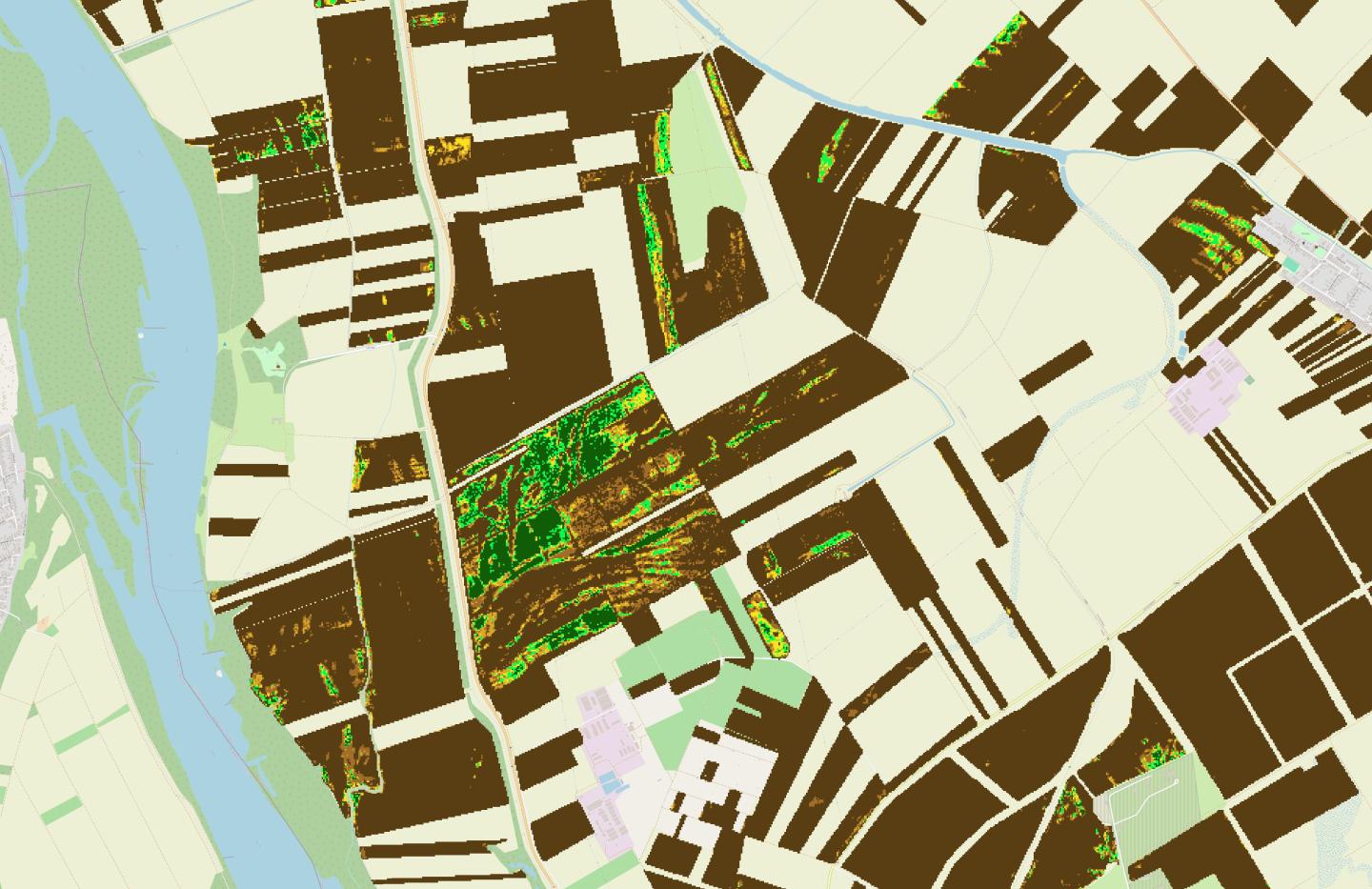 Egy Duna melléki terület őszi kalászos tábláinak állapota 2026 május végén készült Sentinel-2 űrfelvételek kiértékelése alapján