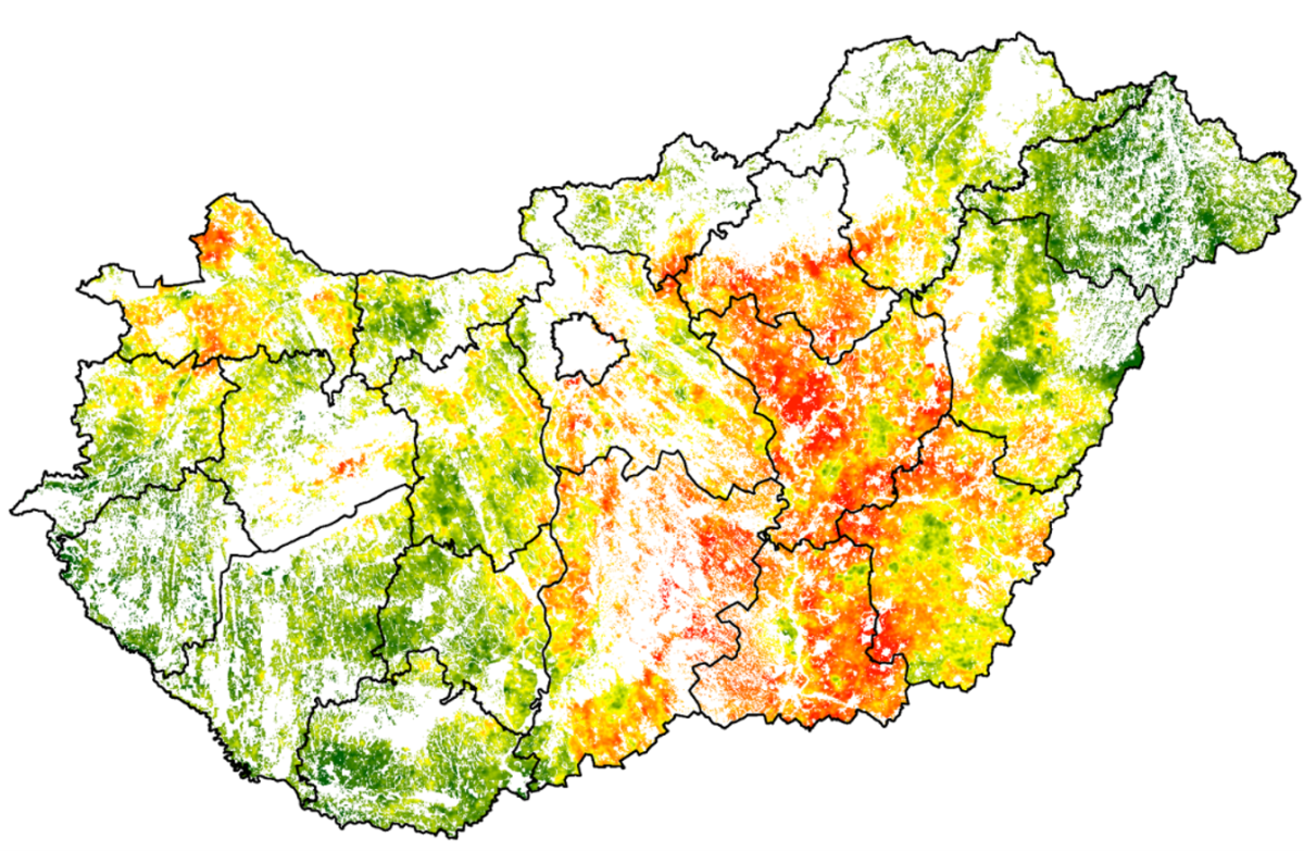Ez az ábra a kukorica és a napraforgó jellemző augusztusi növény állapotát mutatja a 2009–2024 közötti időszakban